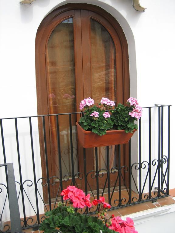 Pension Oliva Bagian luar foto